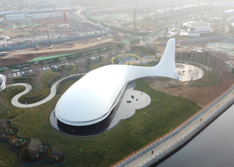 沈阳充气膜结构建筑的搭建周期：高效快捷，开启绿色建筑新时代